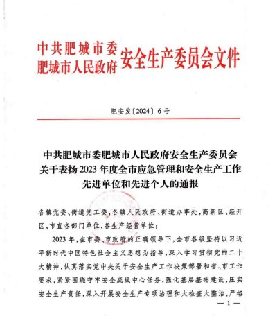 肥城泰燃天然气有限公司获得中共肥城市委、肥城市人民政府安全生产委员会“先进生产经营单位”荣誉